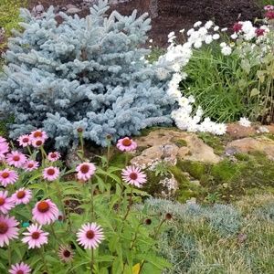 Meet your Posher, Cecilia